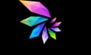 Logo Skarcha